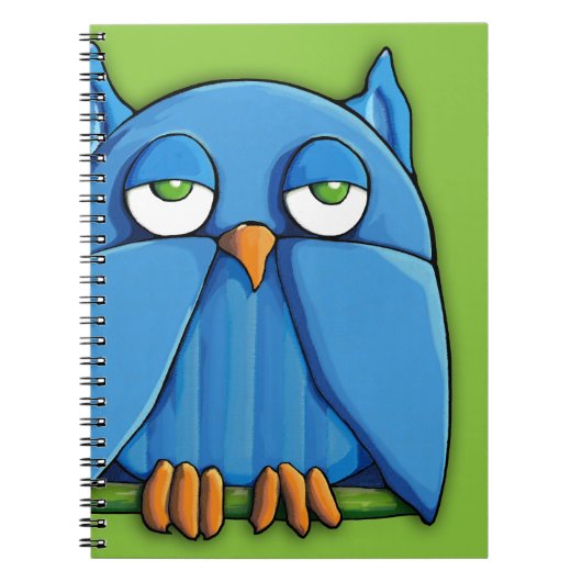 Carnet Ordinateur portable Aqua Owl green 2 (Devant)
