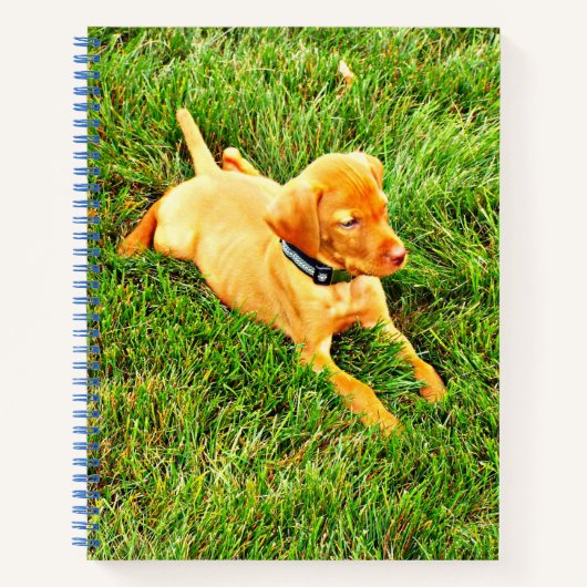 Carnet Ordinateur portable avec chiot Vizsla (Devant)
