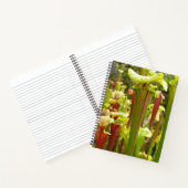 Carnet Ordinateur portable avec flava Sarracenia Photos (Intérieur)