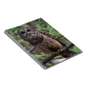 Carnet Ordinateur portable Barred Owl (Côté Droit)