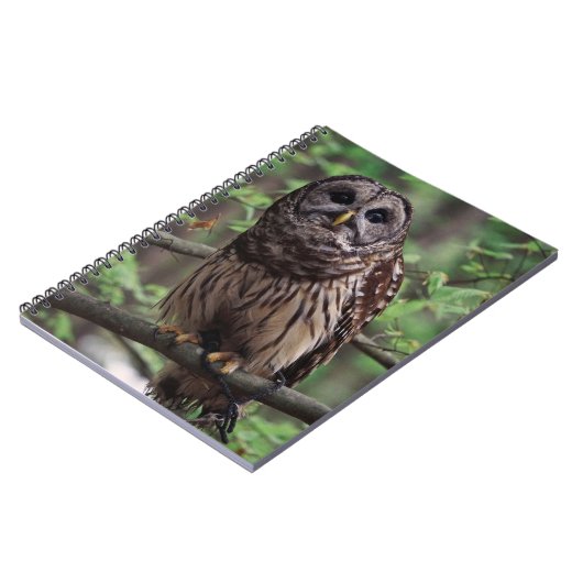 Carnet Ordinateur portable Barred Owl (Côté gauche)