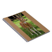 Carnet Ordinateur portable bébé cerf (Côté Droit)