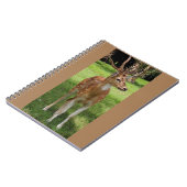Carnet Ordinateur portable bébé cerf (Côté gauche)