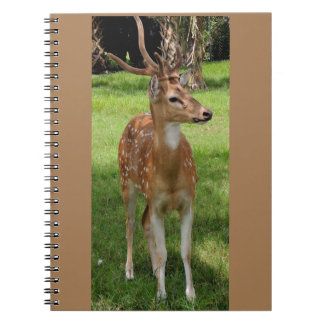 Carnet Ordinateur portable bébé cerf