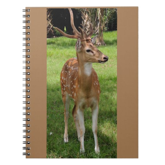 Carnet Ordinateur portable bébé cerf (Devant)