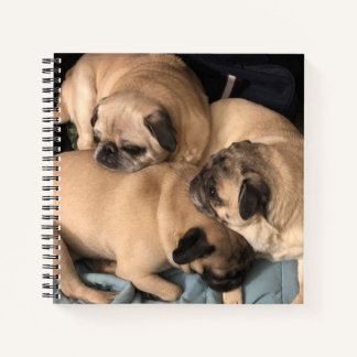 Carnet Ordinateur portable carlin Love