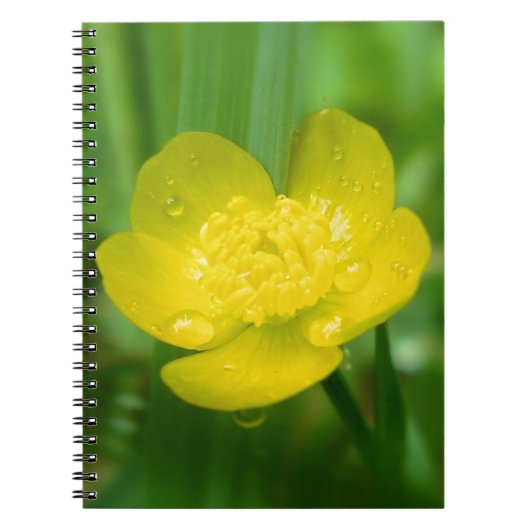 Carnet Ordinateur portable de coupe-papillon Appalachien (Devant)