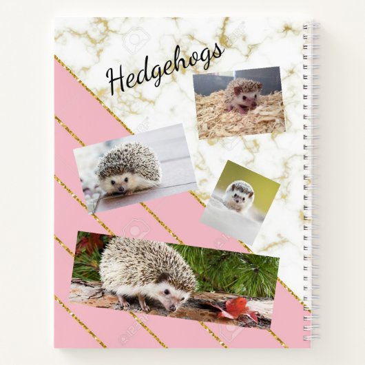 Carnet Ordinateur portable de hérisson (Dos)