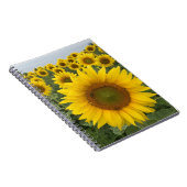 Carnet Ordinateur portable de récolte de tournesol jaune (Côté Droit)