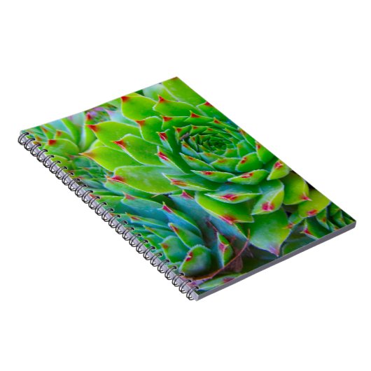 Carnet Ordinateur portable Green Plante (Côté Droit)