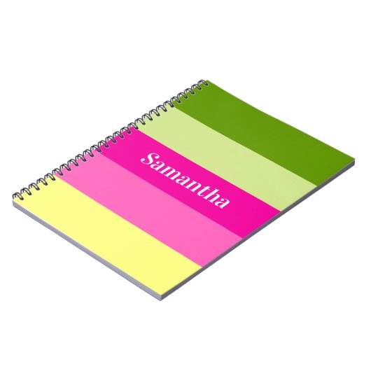 Carnet Ordinateur portable monogramme vert et rose rayé (Côté gauche)