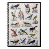Carnet Ordinateur portable Old Fashid Birds (Devant)