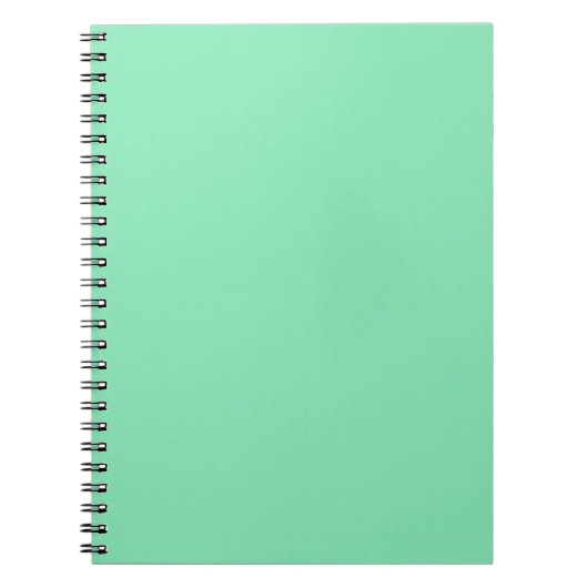 Carnet Ordinateur portable Pastel Mint Green (Devant)