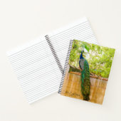 Carnet Ordinateur portable Peacock 1 (Intérieur)