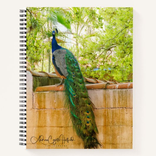 Carnet Ordinateur portable Peacock 1 (Devant)