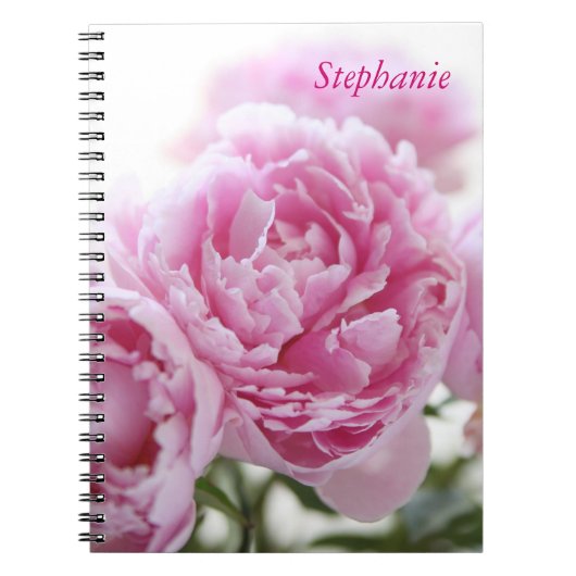 Carnet ordinateur portable Pink Peonies (Devant)
