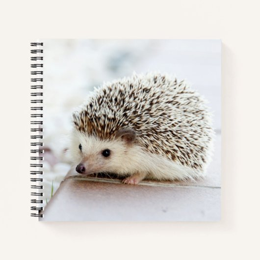 Carnet Ordinateur portable pour bébé mignon (Devant)