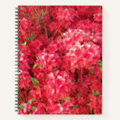 Carnet Ordinateur portable Red Azalea (Devant)