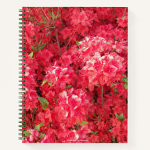 Ordinateur portable Red Azalea