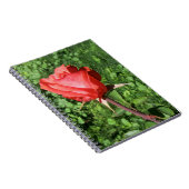Carnet Ordinateur portable Rose (Côté Droit)