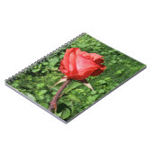 Carnet Ordinateur portable Rose (Côté gauche)