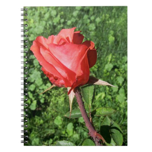 Carnet Ordinateur portable Rose (Devant)