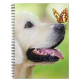 Carnet Oreiller À Lancer Du Labrador Et Du Papillon (Devant)