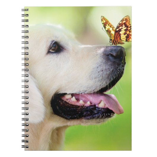 Carnet Oreiller À Lancer Du Labrador Et Du Papillon (Devant)