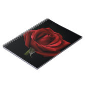 Carnet oreiller rouge (Côté gauche)