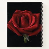 Carnet oreiller rouge (Dos)
