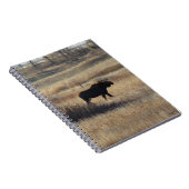 Carnet Orignal mâle et collines de sable M5 (Côté Droit)