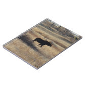 Carnet Orignal mâle et collines de sable M5 (Côté gauche)