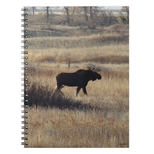 Carnet Orignal mâle et collines de sable M5 (Devant)