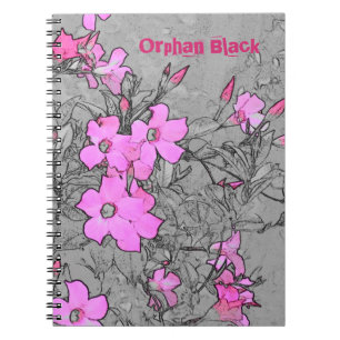 Carnet orphelin de Noir-Alison