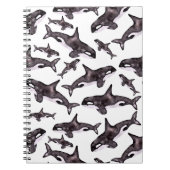 Carnet Orque d'aquarelle (Devant)