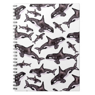 Carnet Orque d'aquarelle