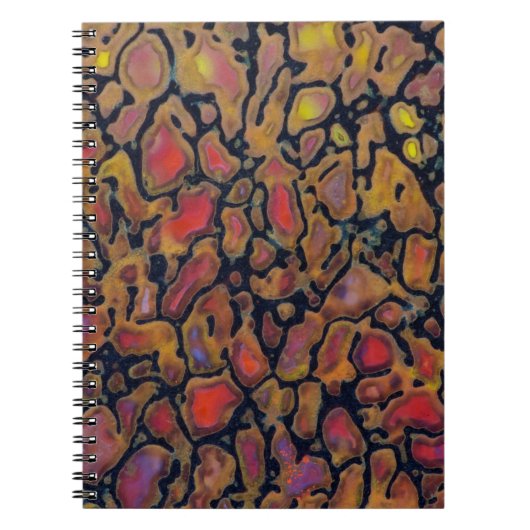 Carnet Os de dinosaure à motifs (Devant)