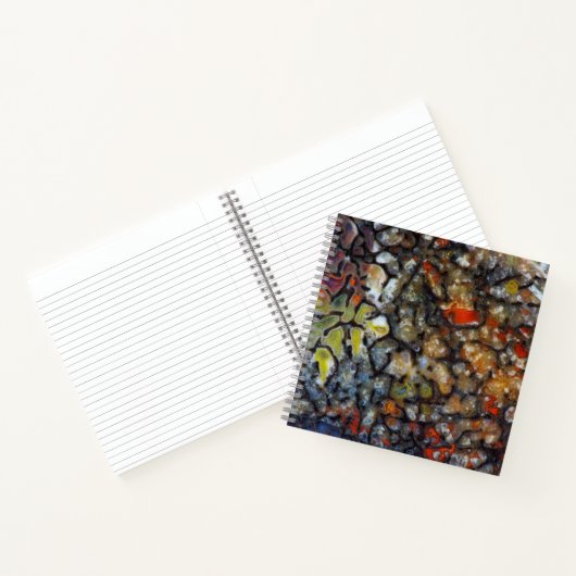 Carnet Os de dinosaure coloré (Intérieur)