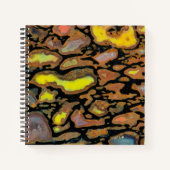 Carnet Os de dinosaure multicolore (Devant)
