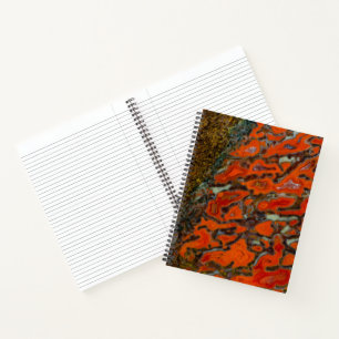 Carnet Os de dinosaure pétrifié rouge