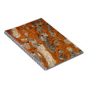 Carnet Os de dinosaure sous le microscope (Côté Droit)