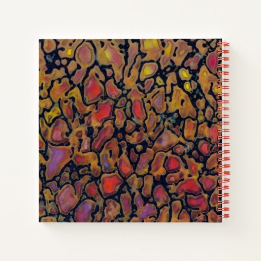 Carnet Os Dinosaure À Motif (Dos)