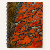 Carnet Os Dinosaure Petrifié Rouge (Devant)