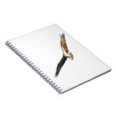 Carnet Osprey Flying (Côté Droit)