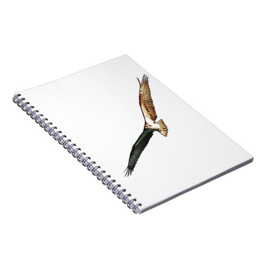 Carnet Osprey Flying (Côté Droit)