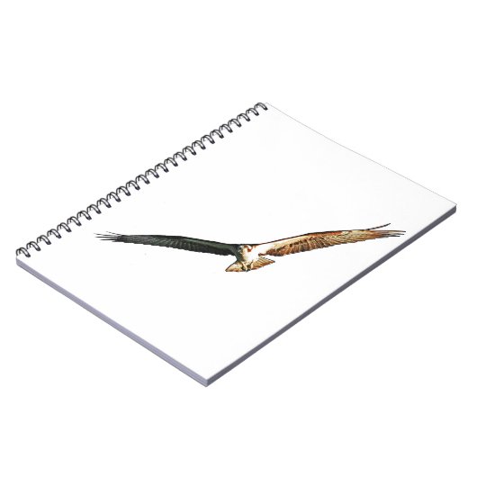 Carnet Osprey Flying (Côté gauche)