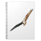 Carnet Osprey Flying (Devant)