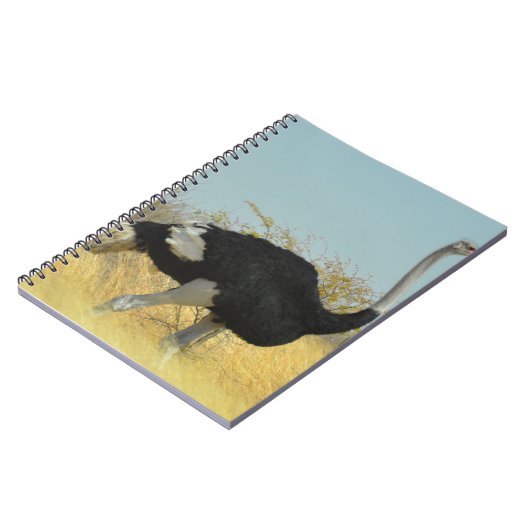 Carnet Ostrige pour courir (Côté gauche)