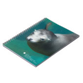 Carnet Otarie de Smithsonien | (Côté gauche)