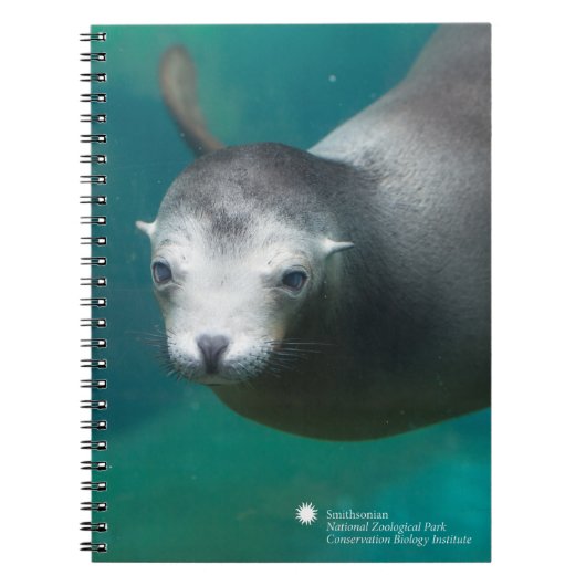 Carnet Otarie de Smithsonien | (Devant)